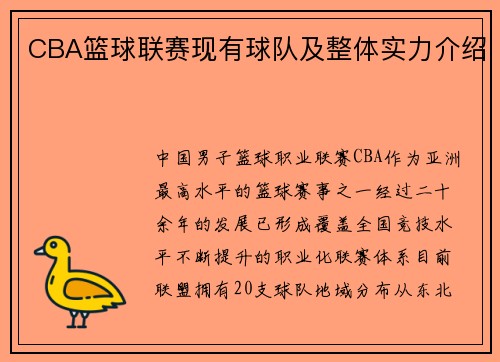 CBA篮球联赛现有球队及整体实力介绍