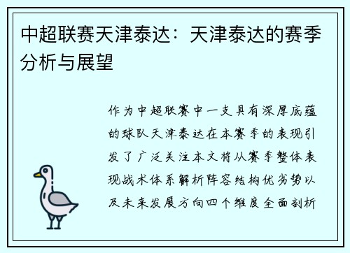 中超联赛天津泰达：天津泰达的赛季分析与展望
