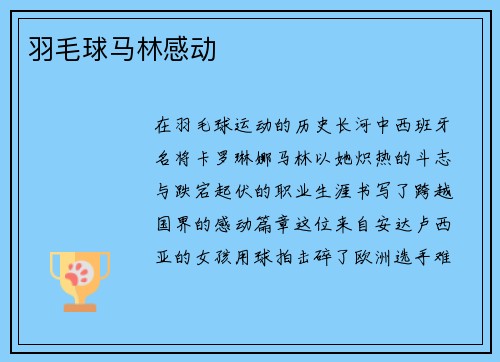 羽毛球马林感动